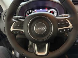 Jeep Renegade 1.6 Mjt 130 CV Limited pieno